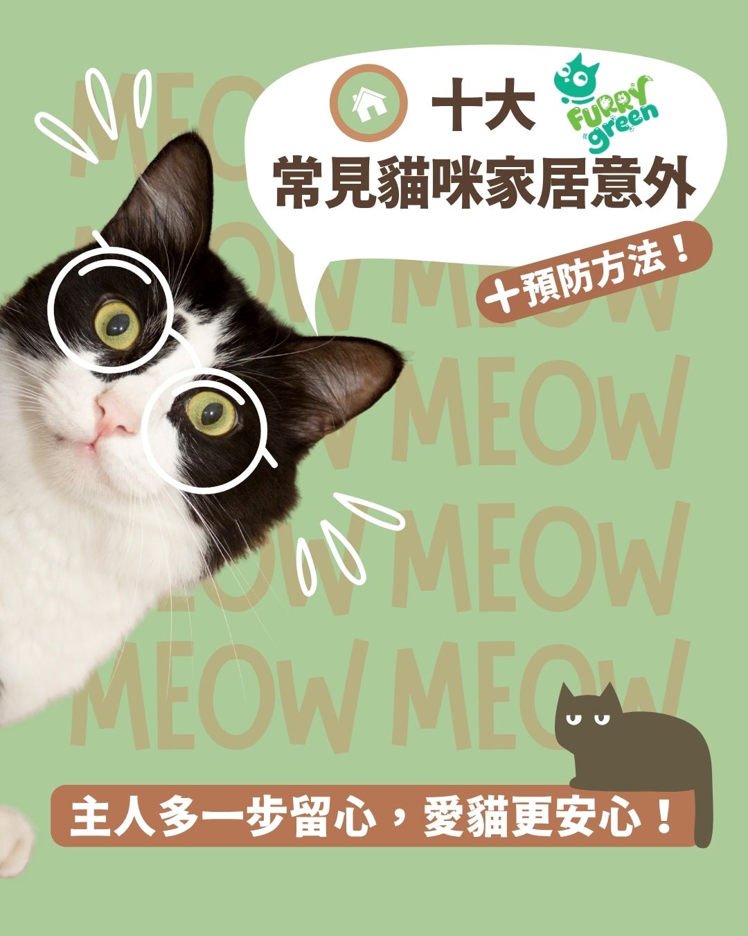 10 貓咪家居意外