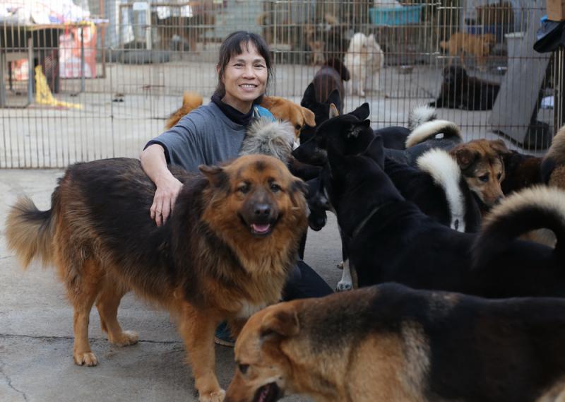 Maison de Charlotte pour des Chats et des Chiens: Beacon of Compassion