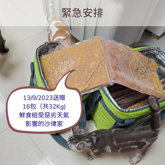 緊急安排送贈鮮食給沙律媽