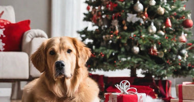 Pet Safety During the Christmas Season: Protecting Your Furry Friends