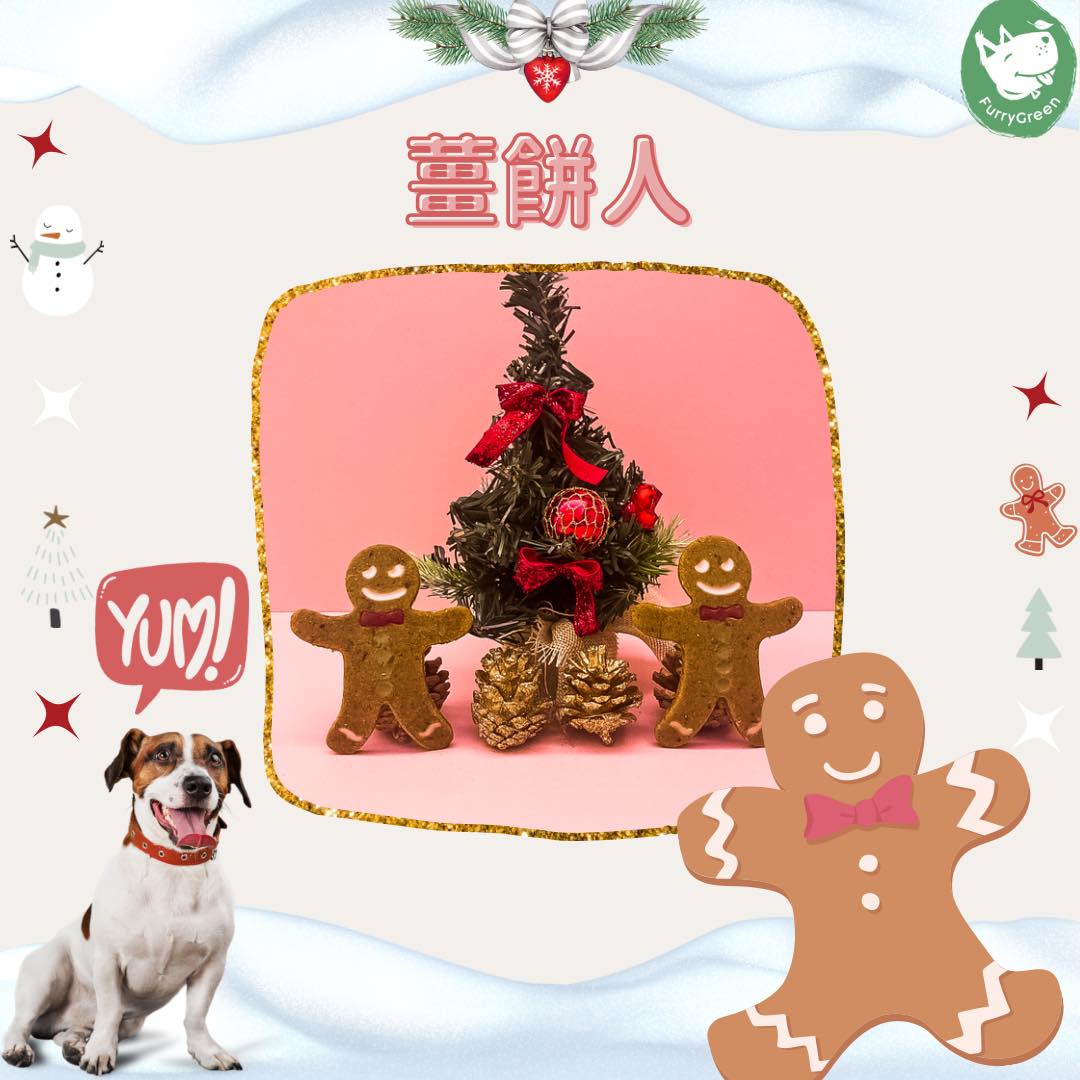 Introducing "Gingerbread Man" in the Pet Christmas Gift Box Furry Green Xmas Set 2023