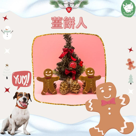 Introducing "Gingerbread Man" in the Pet Christmas Gift Box Furry Green Xmas Set 2023