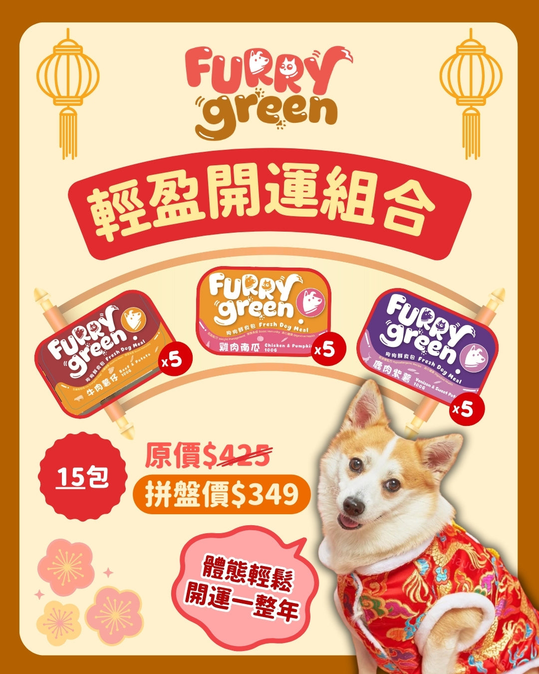 Furry Green pet product CNY dog food combo