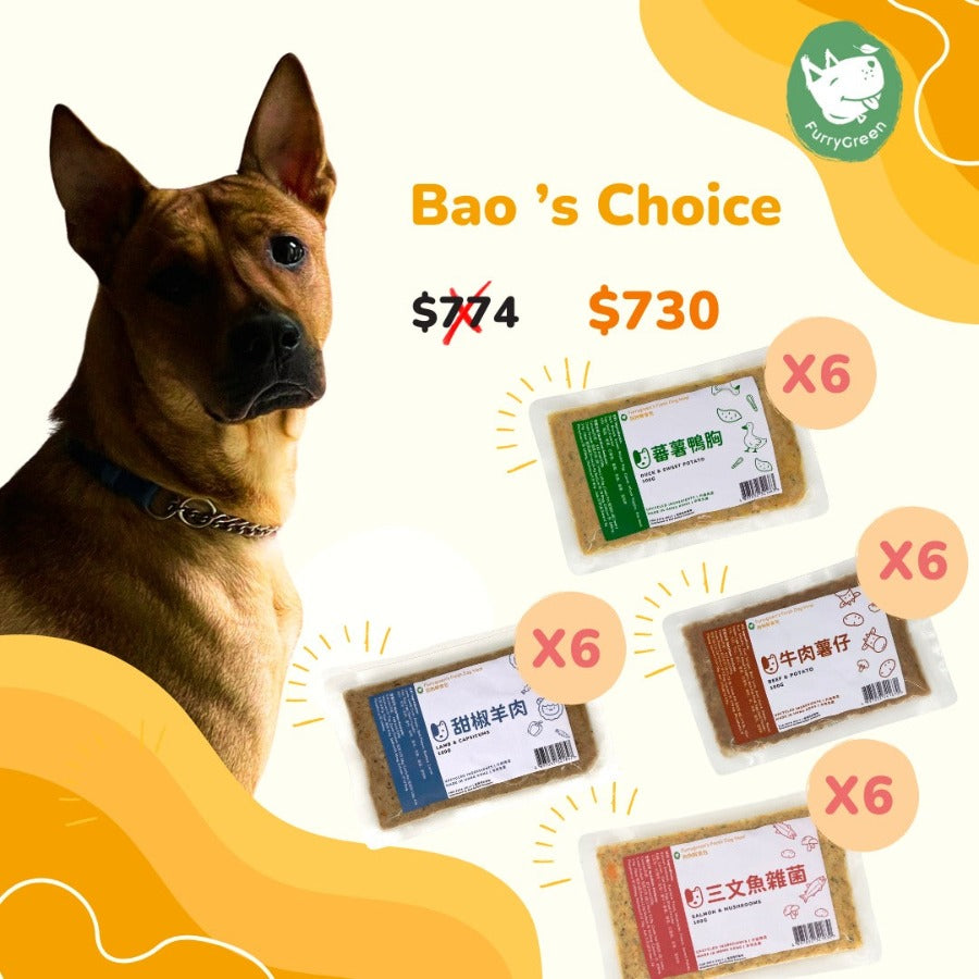 Bao 推介:狗狗鮮食Set(24包)Bao's Choice: Fresh Dog Food Set (24 Packs)