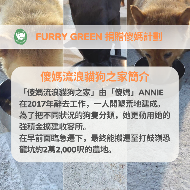 傻媽流浪貓狗之家 由「傻媽」Annie在2017年辭去工作,一人開墾荒地建成,