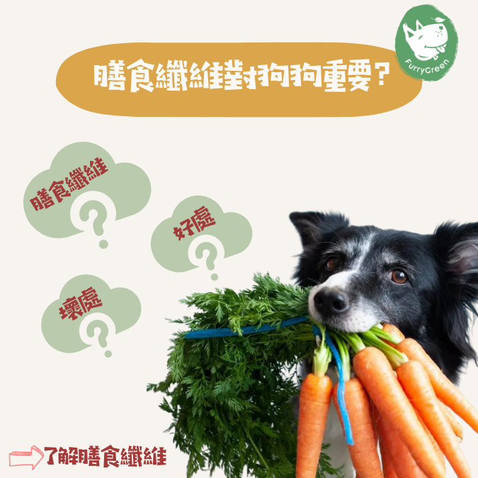 Unlock Happy Guts: Dietary Fibre for Dogs - Furry Green HK🧐