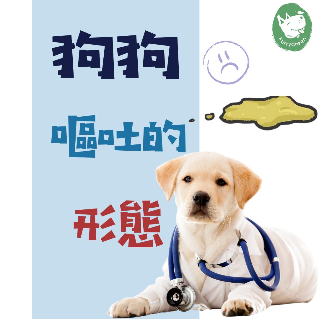 狗狗嘔吐的形態_ Furry Green 惜食寵物鮮食