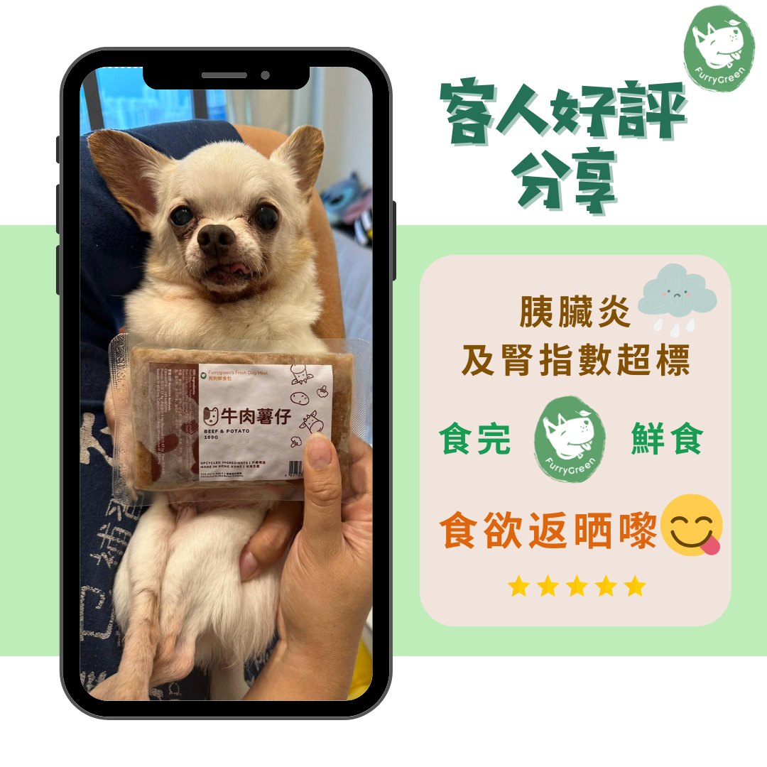 17歳芝娃娃狗狗Benji🐶 Furry Green 寵物鮮食 客人