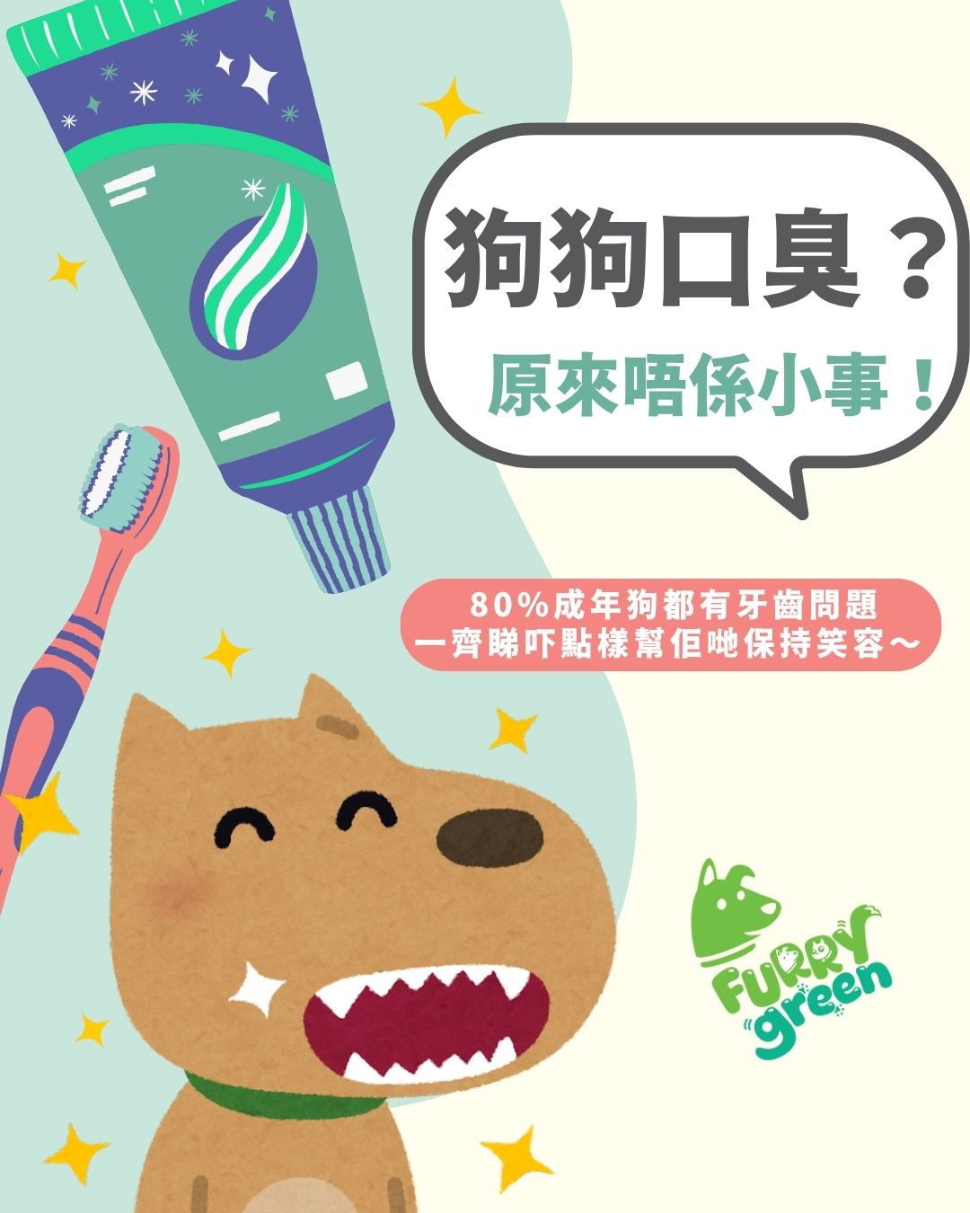 🐾 The Ultimate Guide to Dog Oral Health: Common Dental Diseases and How to Prevent Them