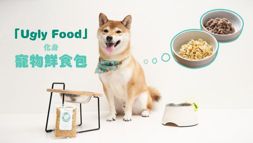 From 'Ugly Food' to Healthy Feasts: The Furry Green Mission「Ugly Food」