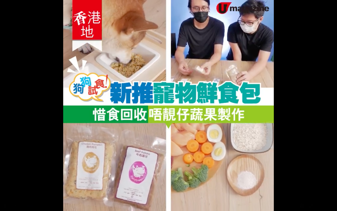 【#香港地】環保惜食寵物鮮食包