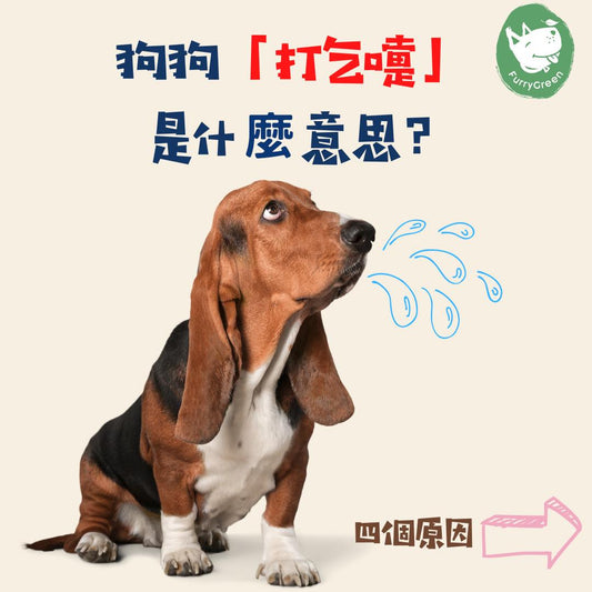 狗狗「打乞嚏」是什麼意思？ Furry Green