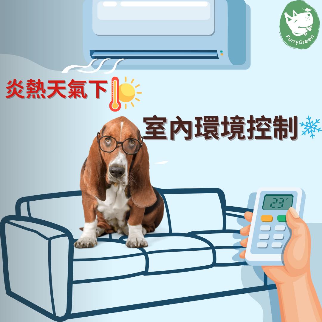 How to Keep Your Dog Cool Indoors in Hong Kong Summer (Heatstroke Prevention Guide)
