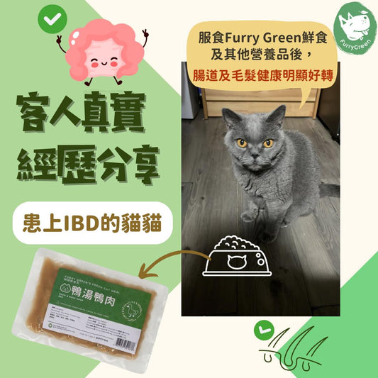 Cat's Digestive and Coat Health Improved Thanks to Furry Green Fresh Pet Food