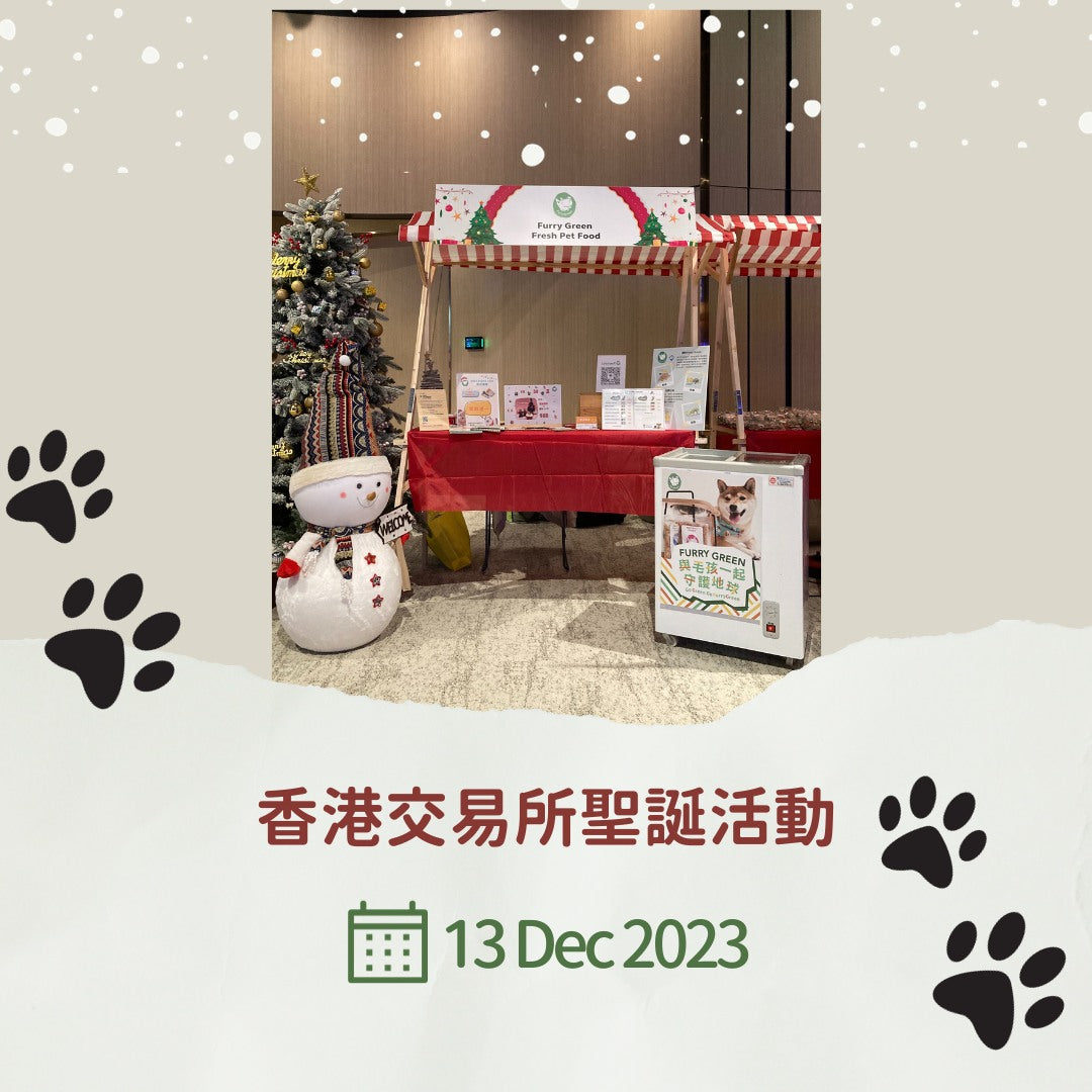 Furry Green Attends the Hong Kong Stock Exchange Christmas Fair 13.12.2023