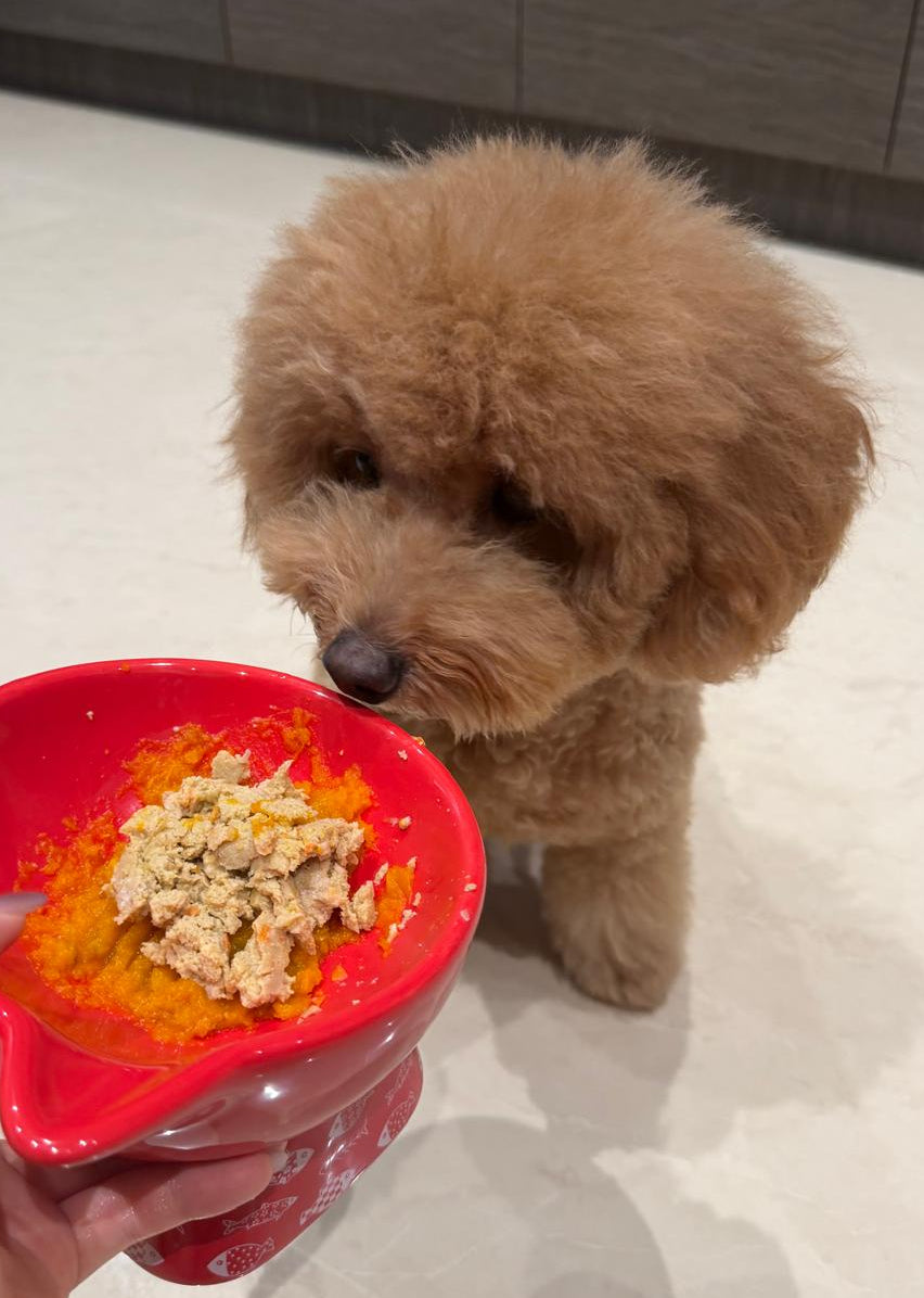 Caramel Cleaned Her Bowl: Our Furry Green Fresh Food Pack Review