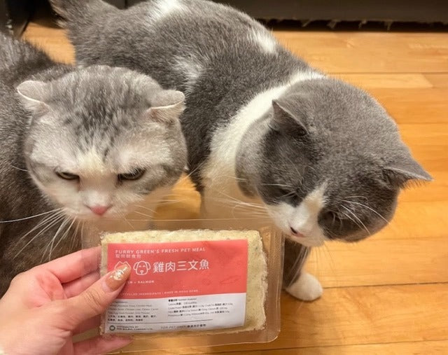 🐱 Why Gently Cooked Cat Food Make the Litter Box Smell Better