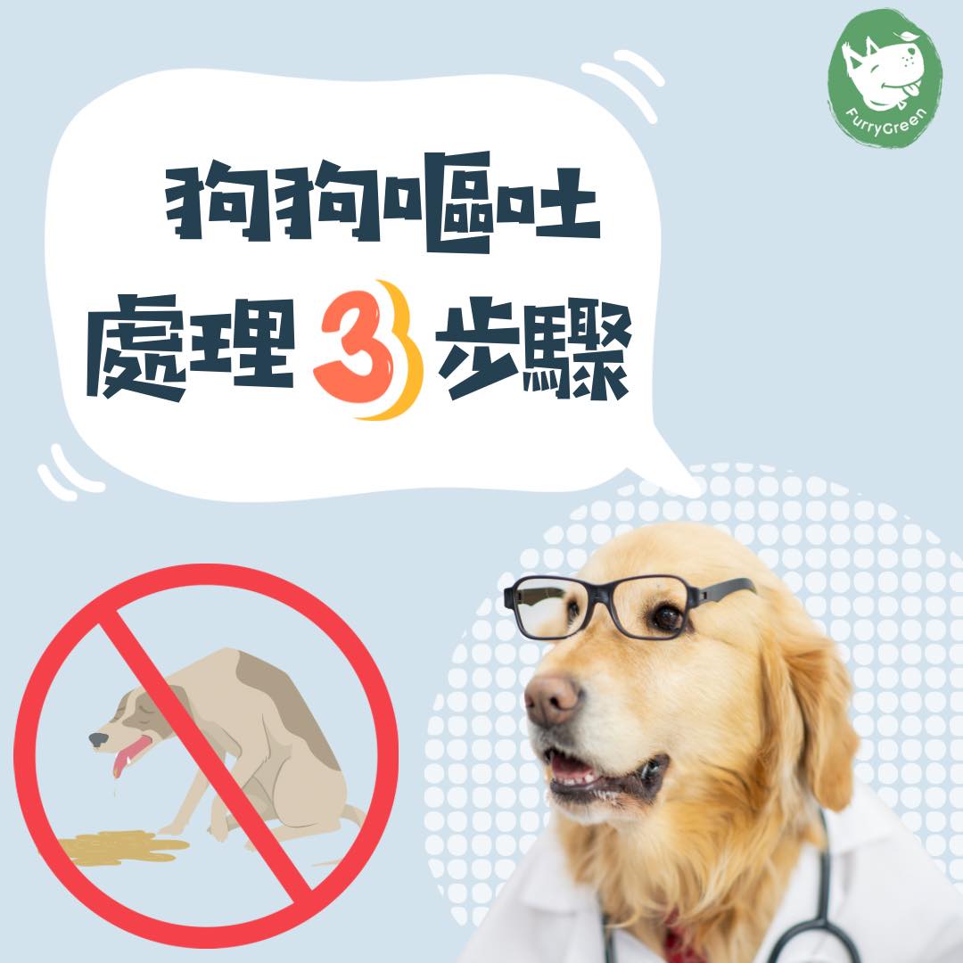 狗狗嘔吐處理3步聚_Furry Green 寵物鮮食 Fresh Pet Food