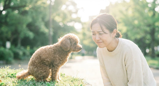First-time dog owner checking their dog’s poop in a park