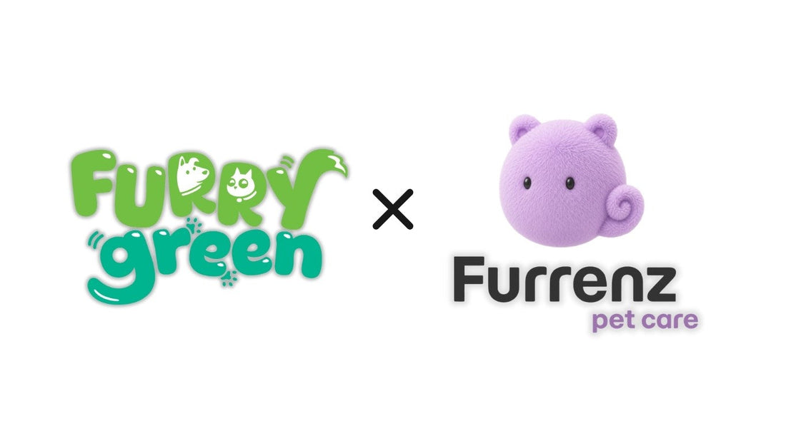 🎉 Meet Our New Partner — Furrenz Pet Care!