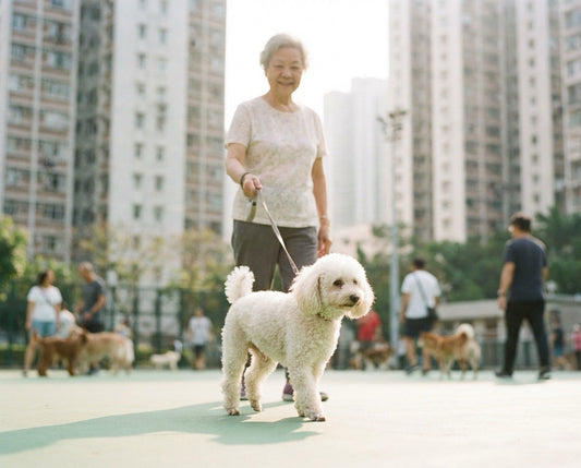 old woman walking with a dog in park Hong Kong