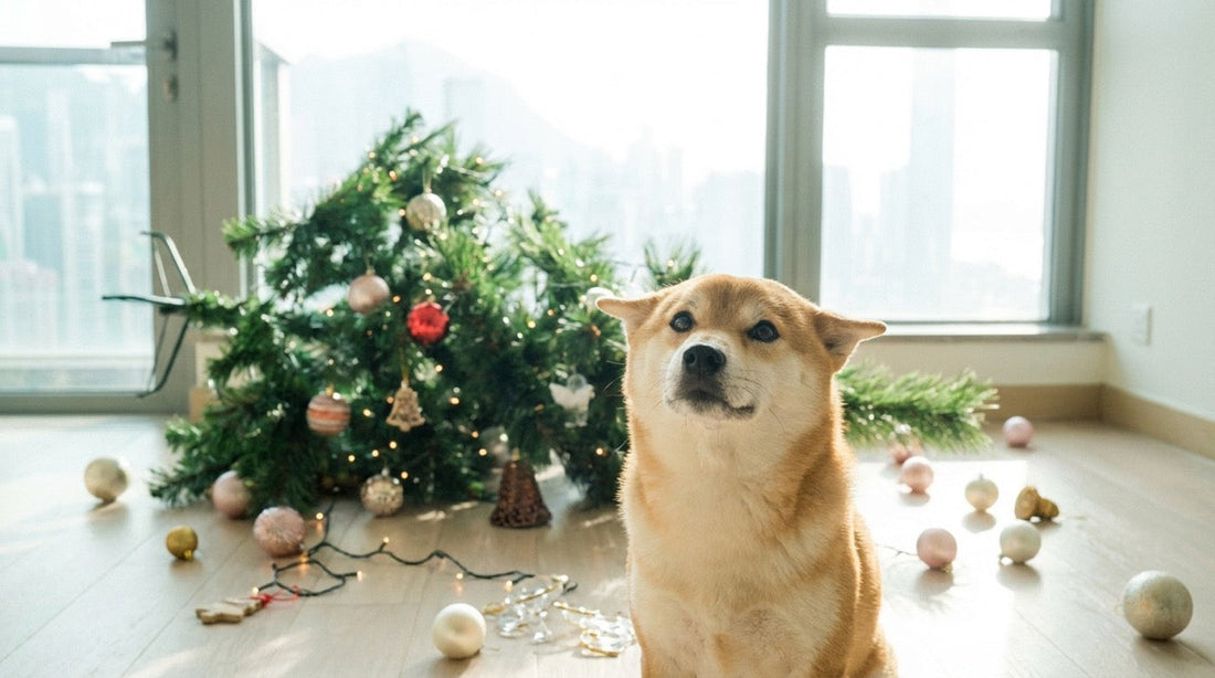 The HK Small Flat Pet-Proofing Guide for Christmas