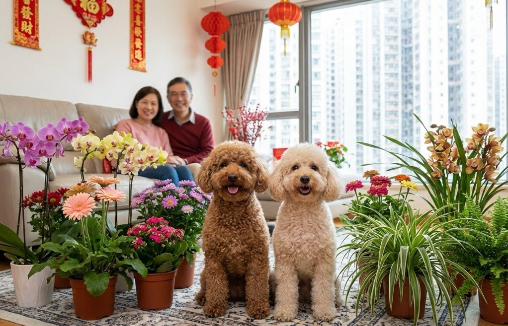 Don’t Let Your Flowers Harm Your Pet:  10 Flowers to Avoid for the Chinese New Year