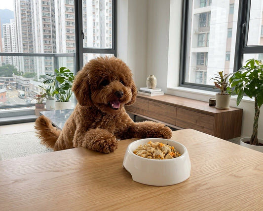 A brown poodle dog eating Furry Green's Chicken Pumpkin gently cooked dog food
