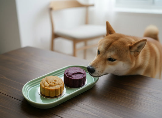 Celebrate Mid-Autumn Festival with Your Furry Friends: Furry Green's Pet Mooncakes