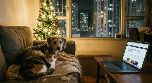 Pet Safety During the Christmas Season: Protecting Your Furry Friends - Dogs