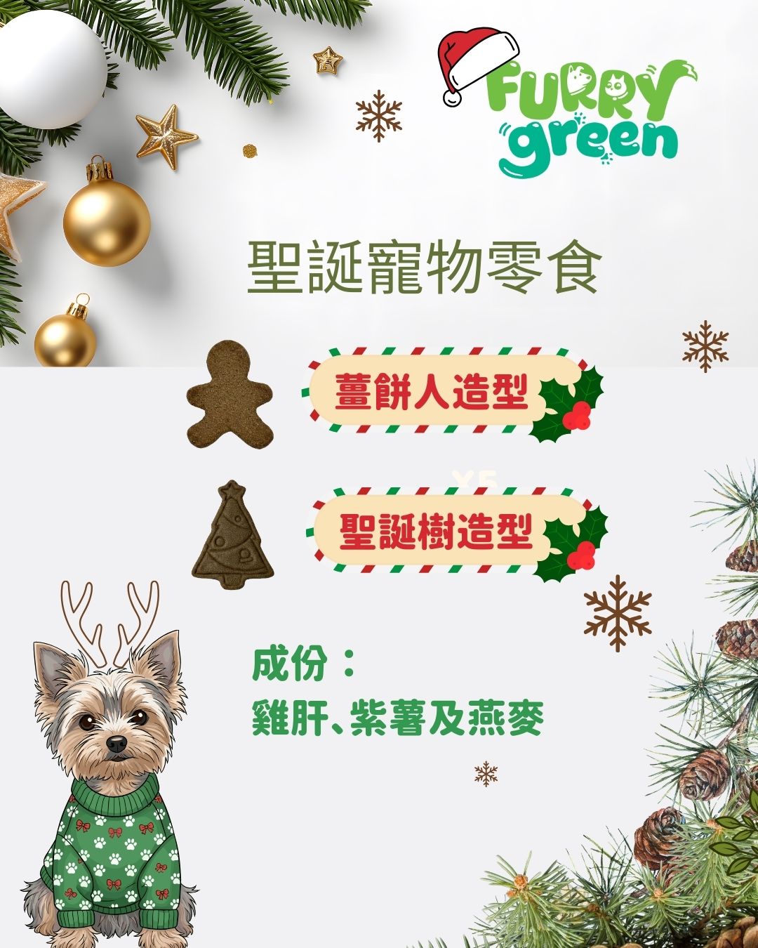 2025 Christmas Limited‑Edition Fresh Dog Food Set