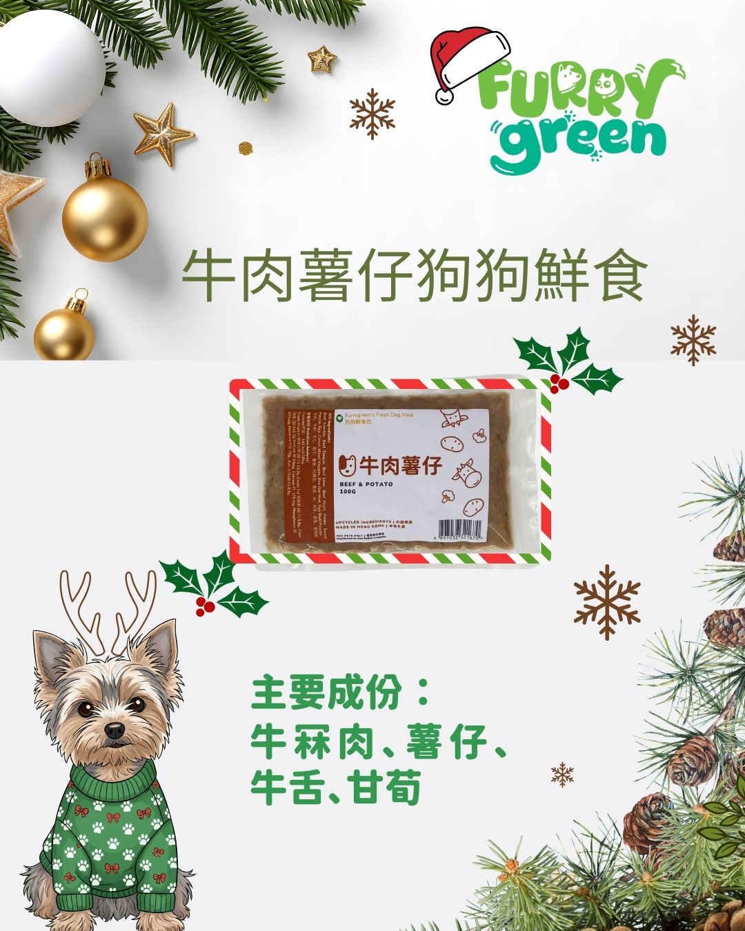 2025 Christmas Limited‑Edition Fresh Dog Food Set