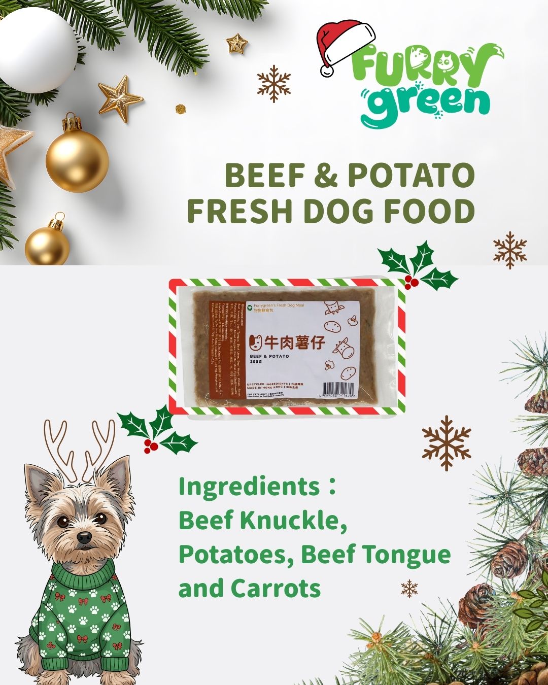 2025 Christmas Limited‑Edition Fresh Dog Food Set