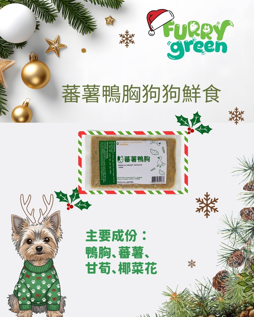2025 Christmas Limited‑Edition Fresh Dog Food Set
