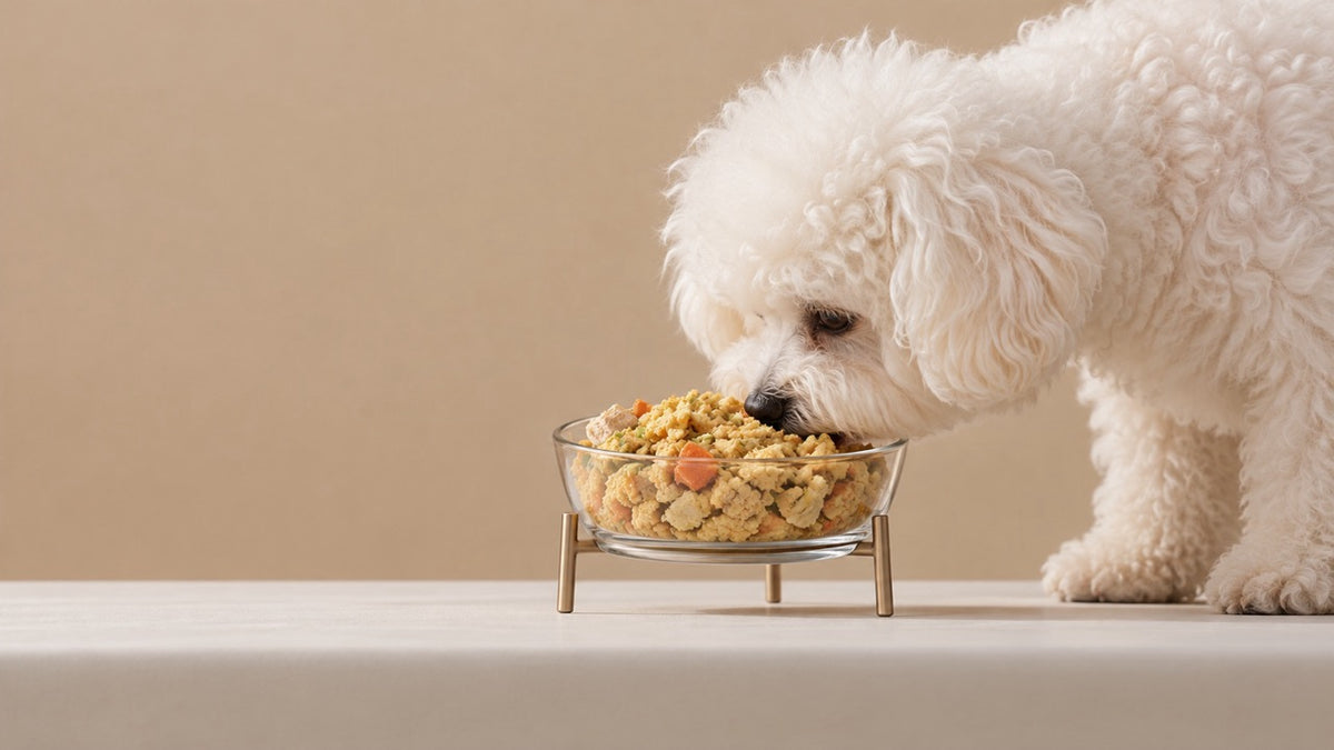Feed Fresh Anywhere, Anytime