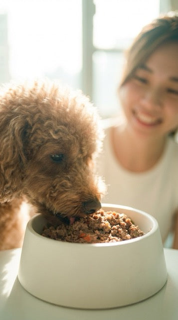 牛肉薯仔狗狗鮮食 (100g) 