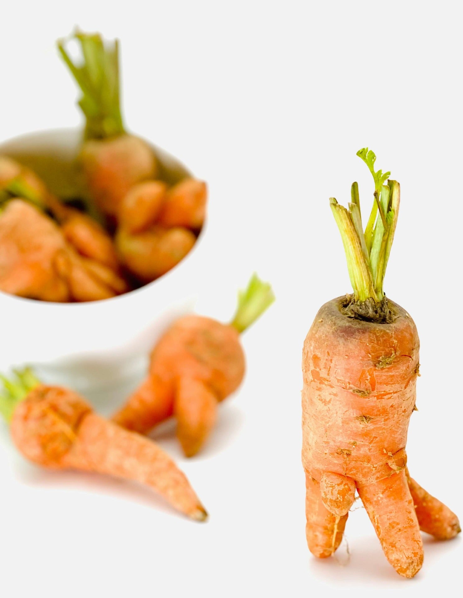 uglycarrot-furrygreenpetfood_YpP6.jpg