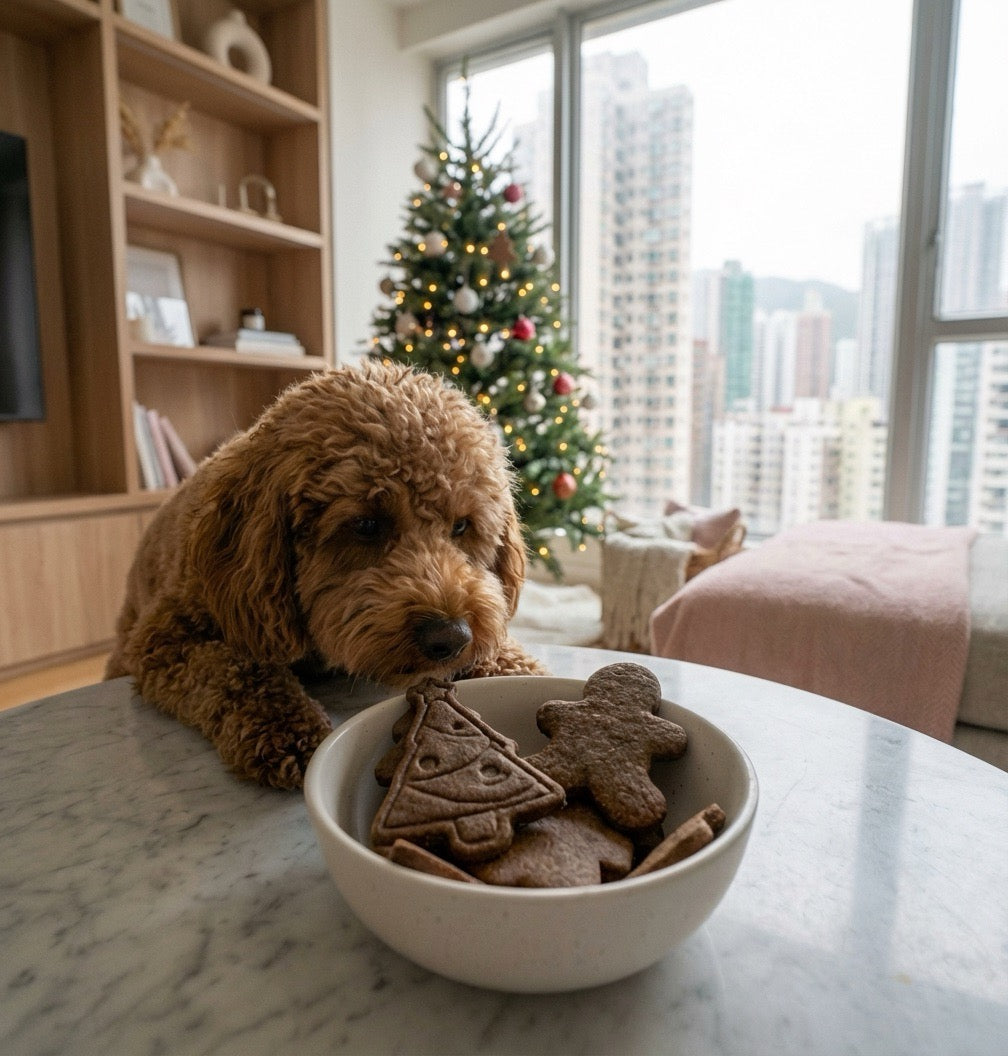 Poodle looking at a bowl of cookies on a table with a Christmas tree and cityscape in the background