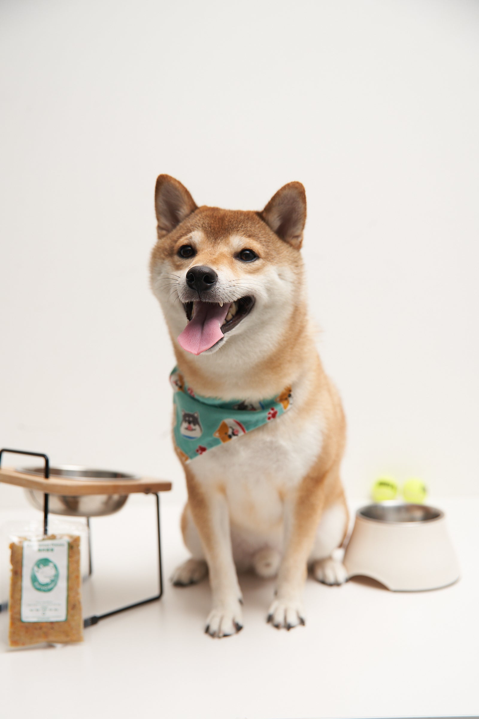 Furry Green Pet Food Set with Pocky Shiba
