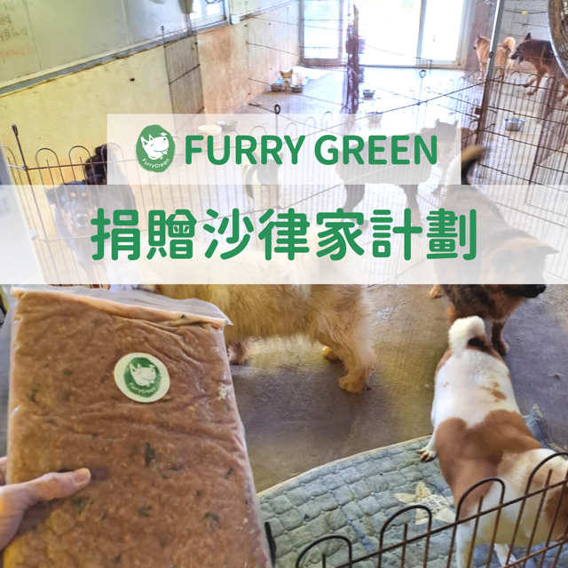 maison de charlotte donation_furryGreen